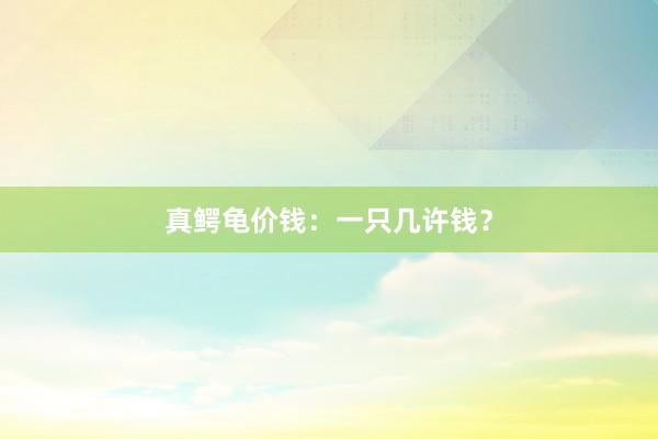 真鳄龟价钱：一只几许钱？